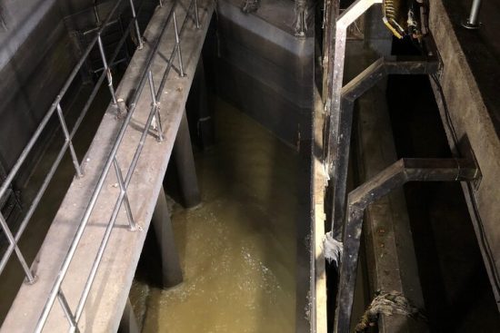 IMG-20241108-WA0011 (1)