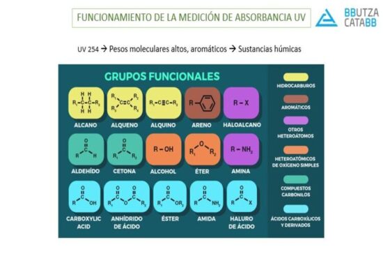 bcd71ecf-0c6f-42ea-9dd5-e5098350c9d8 (1)