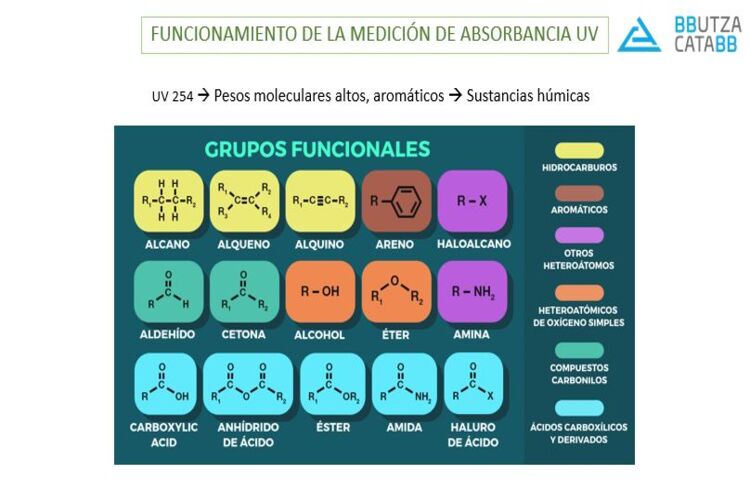 bcd71ecf-0c6f-42ea-9dd5-e5098350c9d8 (1)